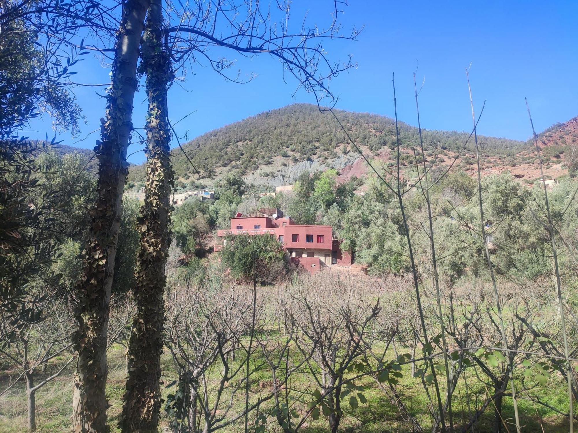 Hotel Chez Yahia, Au Coeur De L'Ourika Exterior foto